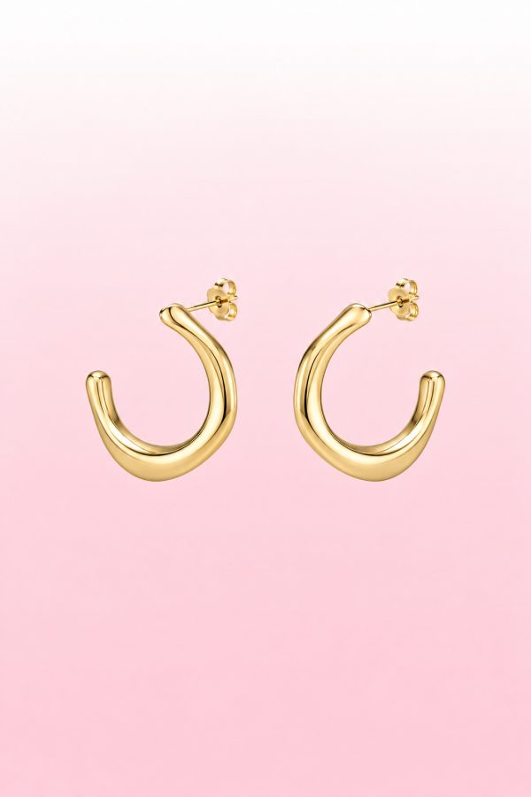 Oorbel hanger draai